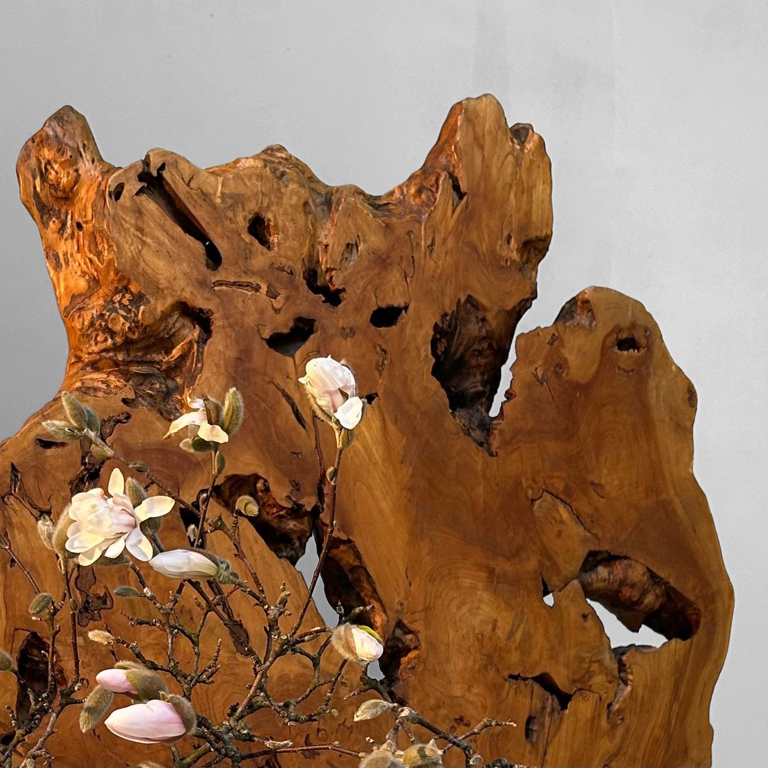 Japanse Boomstam Decoratie, Meiji-periode – Keyaki-hout.