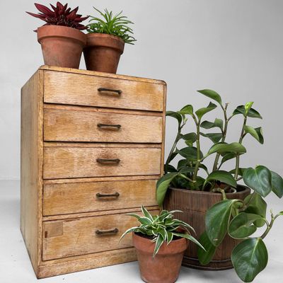 Houten Archief Ladekast, Aitoku Tansu-ten, Jaren '30, Japan.