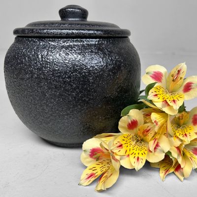 Traditionele Vintage Japanse Bewaarpot, Umeboshi.