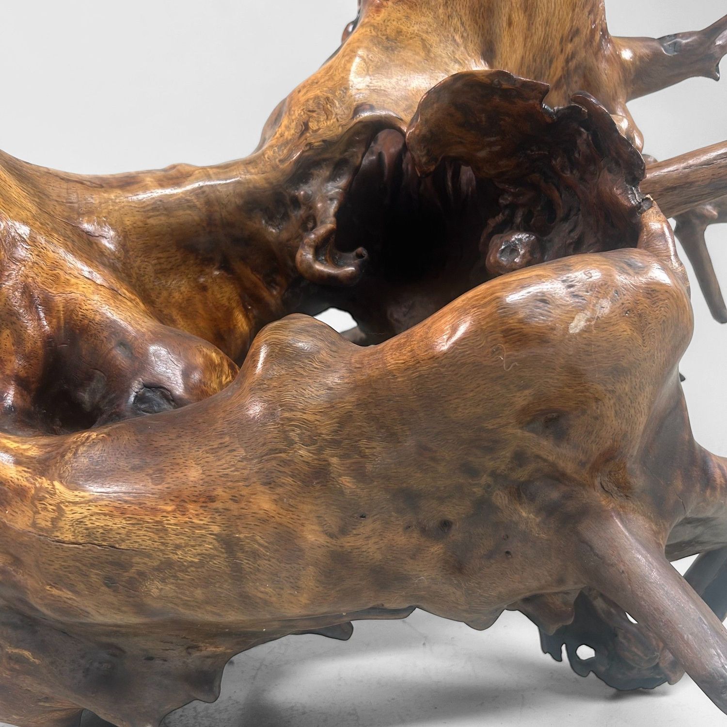 Zeldzame Japanse Wortelhoutsculptuur – Gelakt Hout, ca. jaren 1940