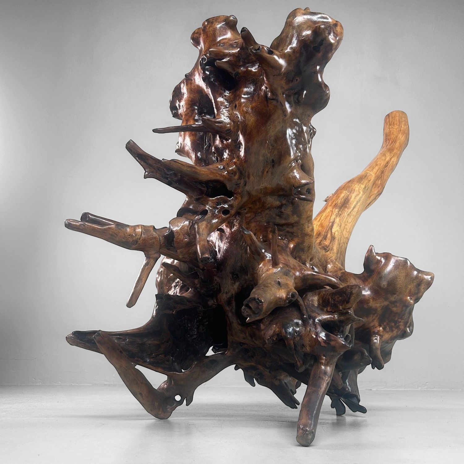 Zeldzame Japanse Wortelhoutsculptuur – Gelakt Hout, ca. jaren 1940
