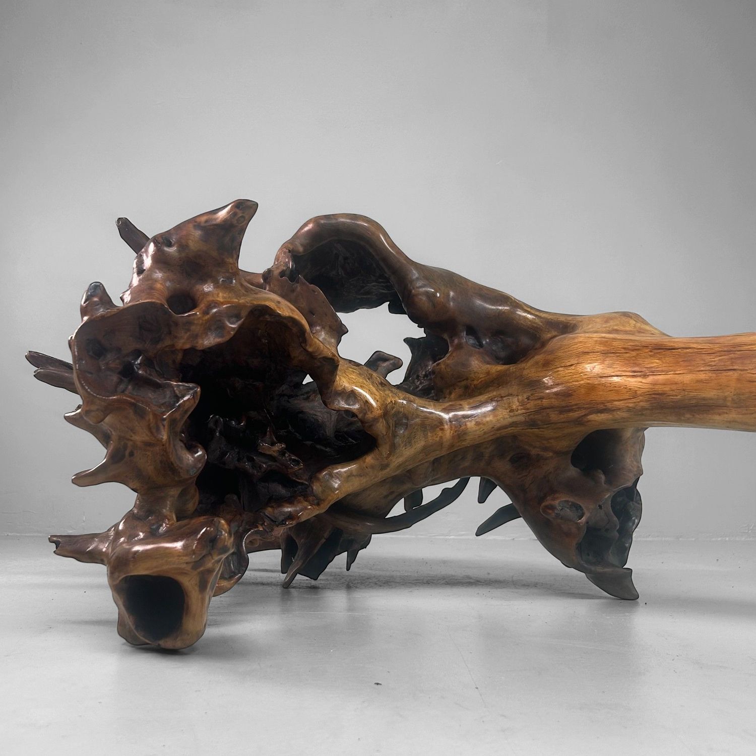 Zeldzame Japanse Wortelhoutsculptuur – Gelakt Hout, ca. jaren 1940