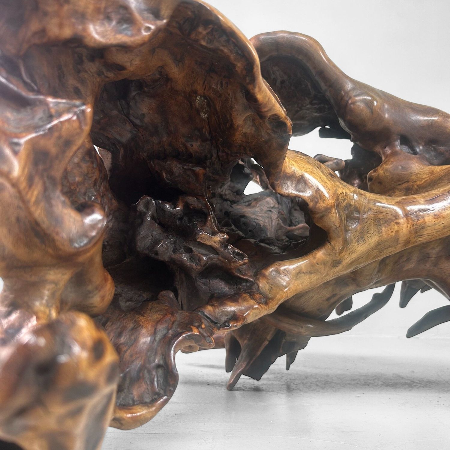 Zeldzame Japanse Wortelhoutsculptuur – Gelakt Hout, ca. jaren 1940