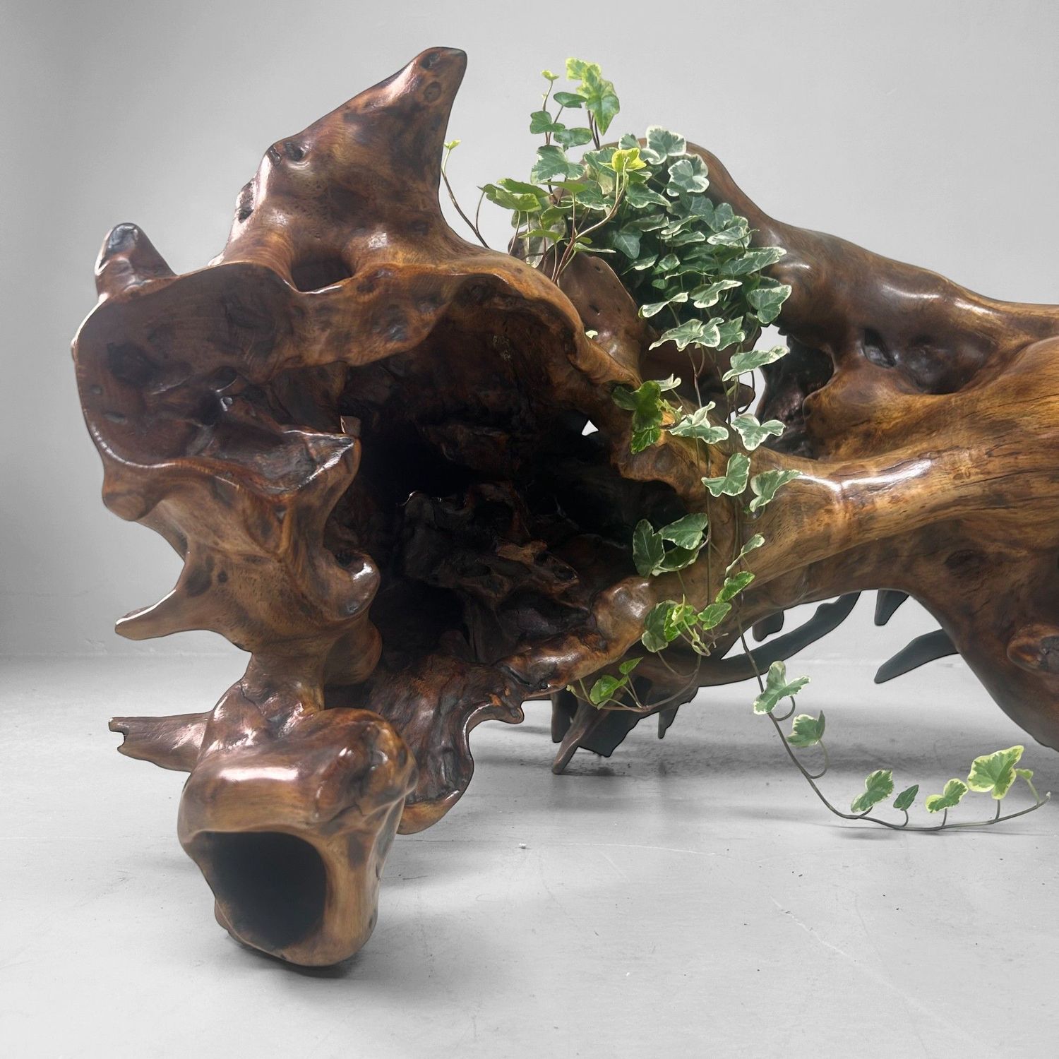 Zeldzame Japanse Wortelhoutsculptuur – Gelakt Hout, ca. jaren 1940