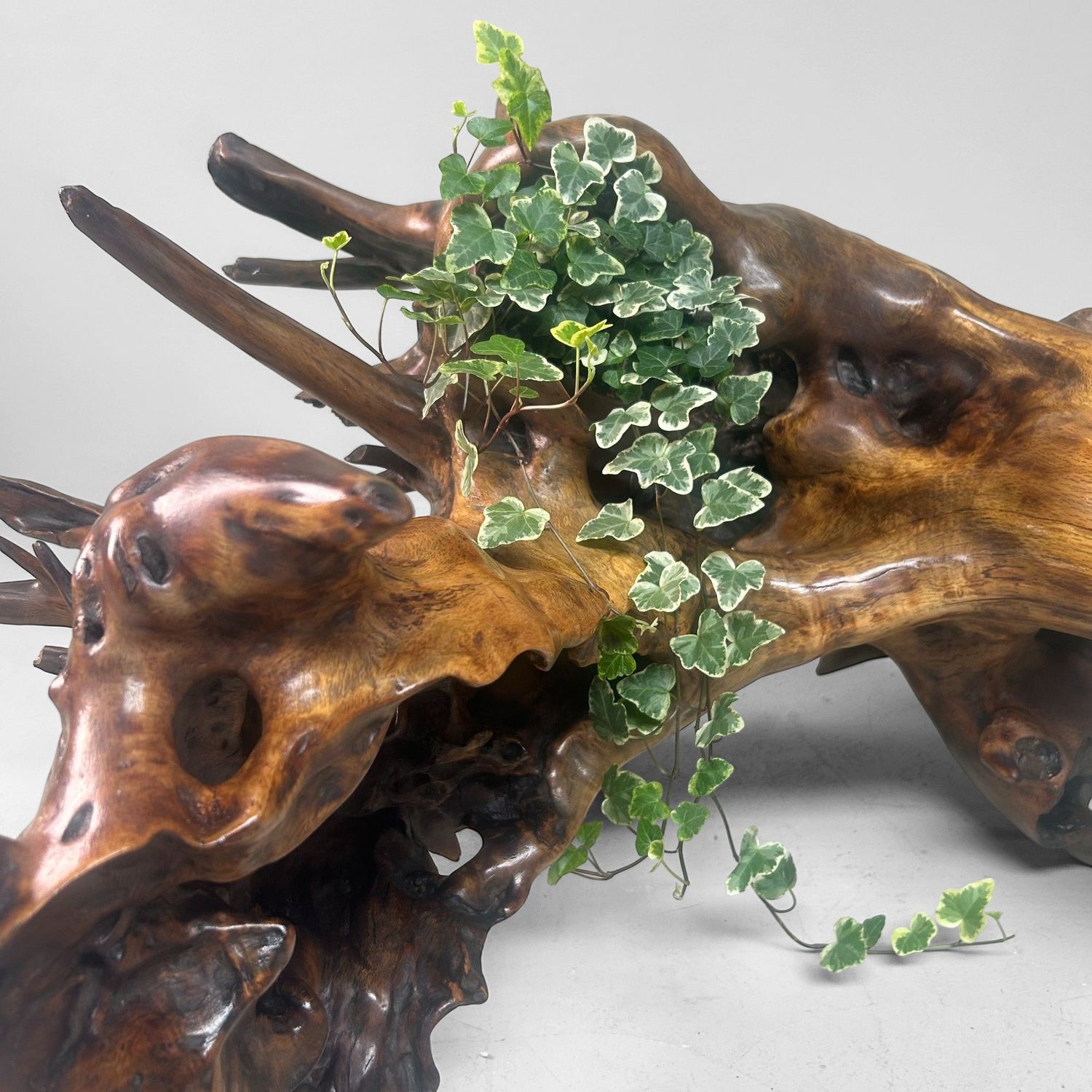 Zeldzame Japanse Wortelhoutsculptuur – Gelakt Hout, ca. jaren 1940