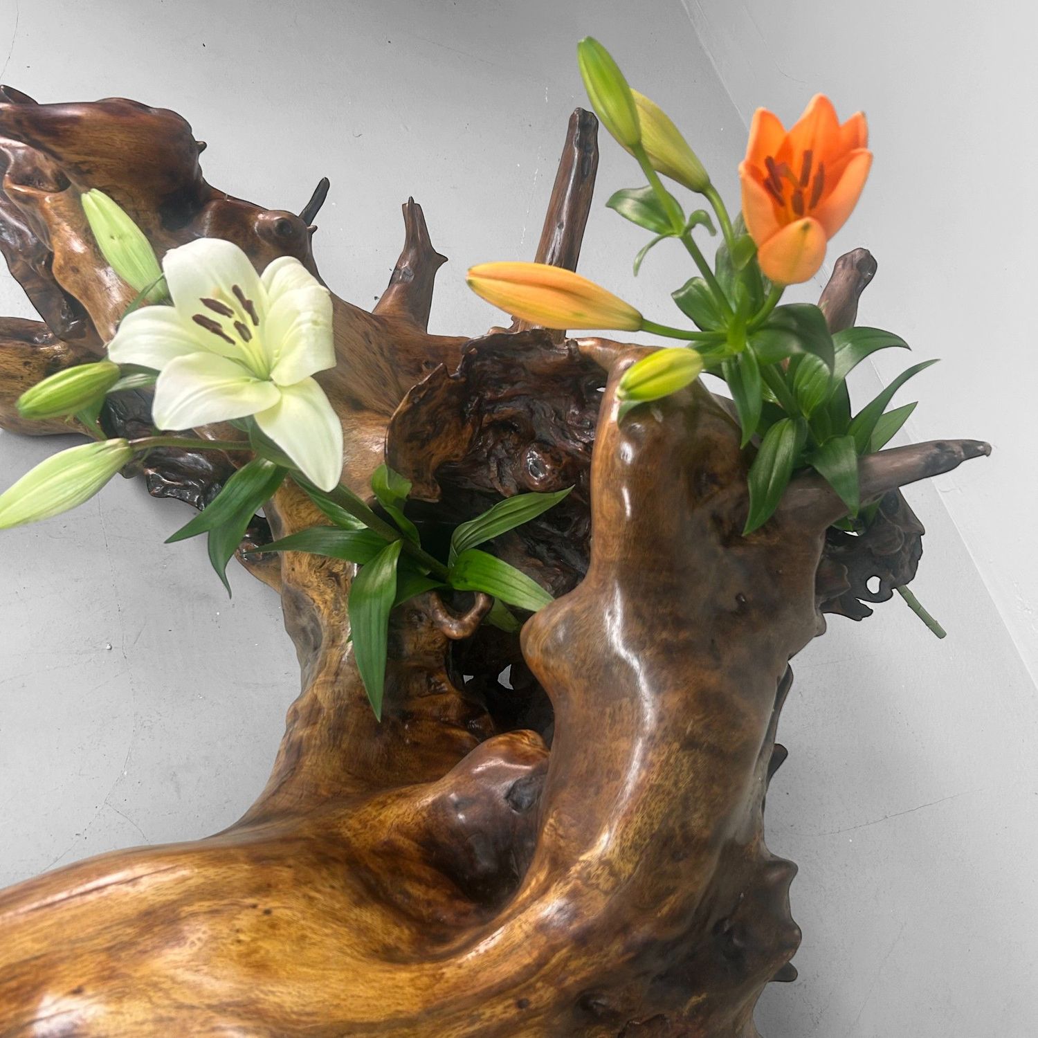Zeldzame Japanse Wortelhoutsculptuur – Gelakt Hout, ca. jaren 1940