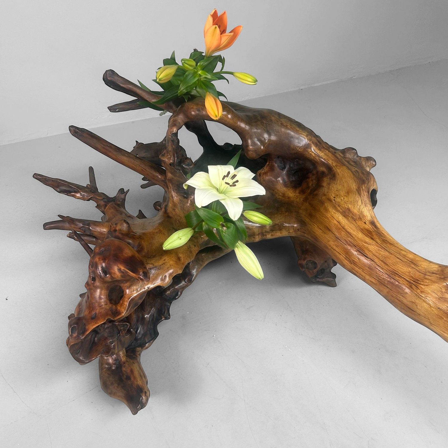 Zeldzame Japanse Wortelhoutsculptuur – Gelakt Hout, ca. jaren 1940