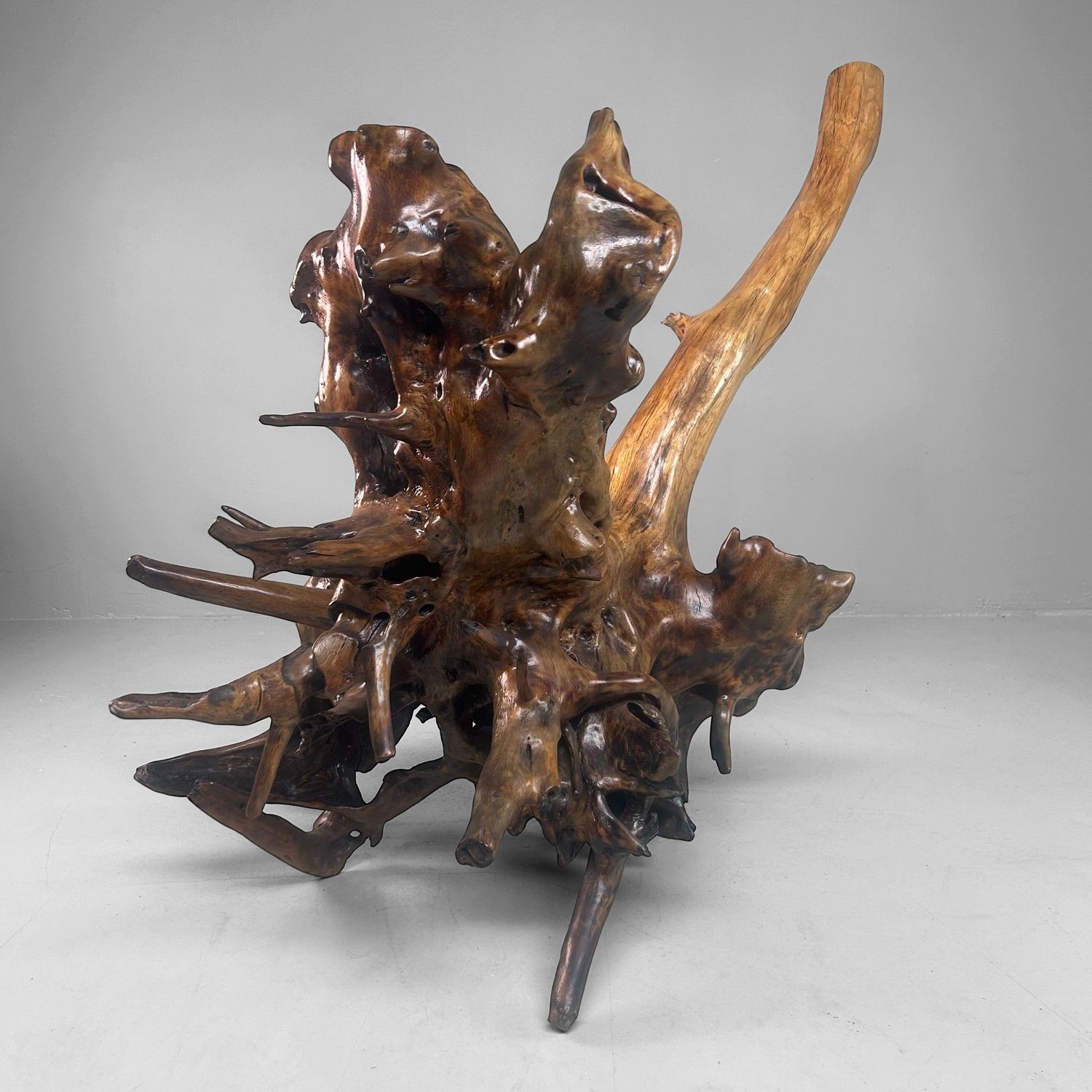 Zeldzame Japanse Wortelhoutsculptuur – Gelakt Hout, ca. jaren 1940