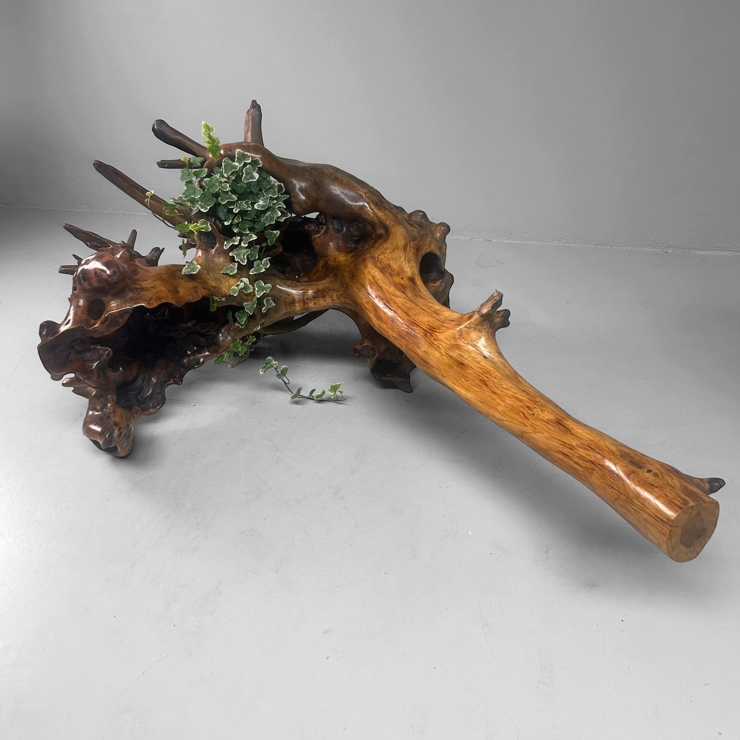 Zeldzame Japanse Wortelhoutsculptuur – Gelakt Hout, ca. jaren 1940