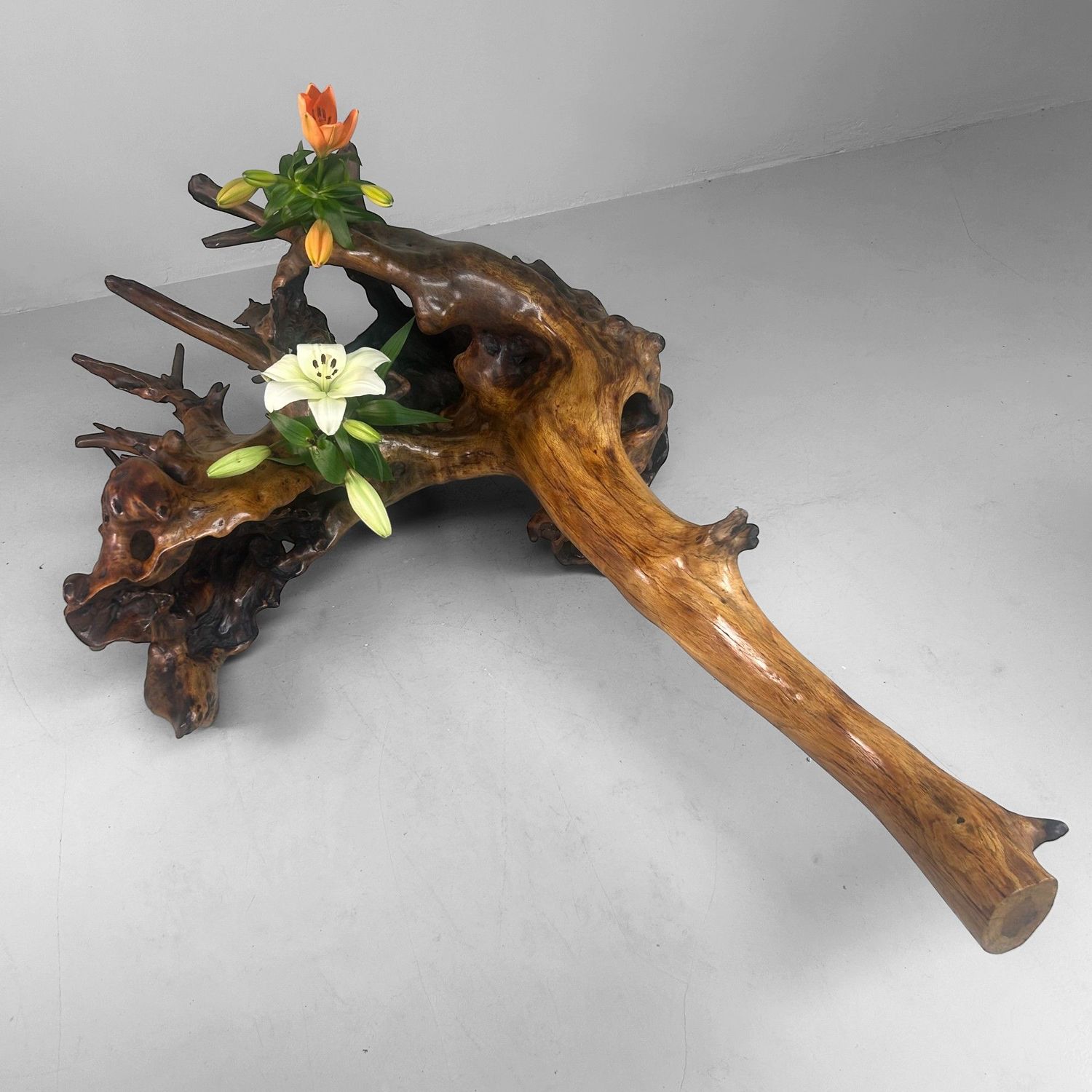 Zeldzame Japanse Wortelhoutsculptuur – Gelakt Hout, ca. jaren 1940