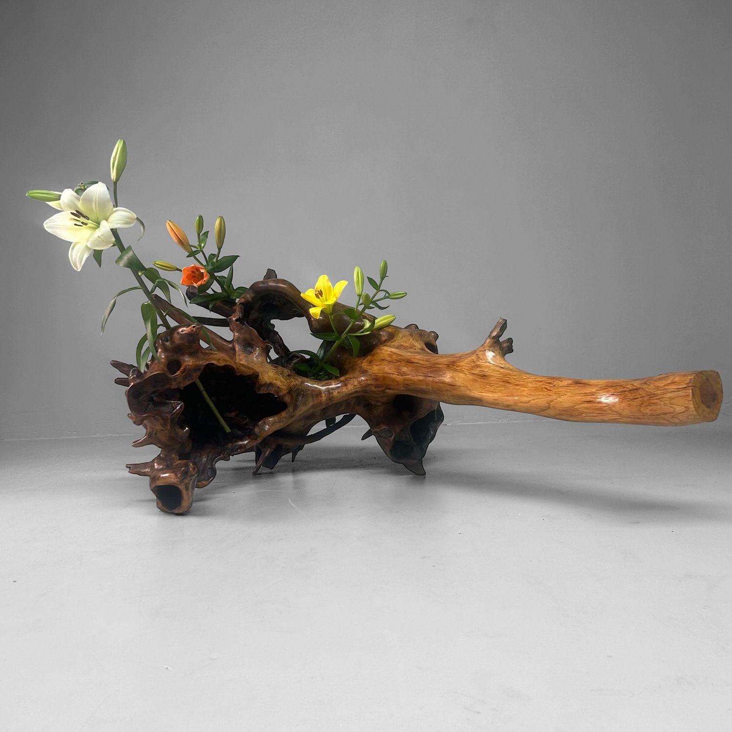 Zeldzame Japanse Wortelhoutsculptuur – Gelakt Hout, ca. jaren 1940