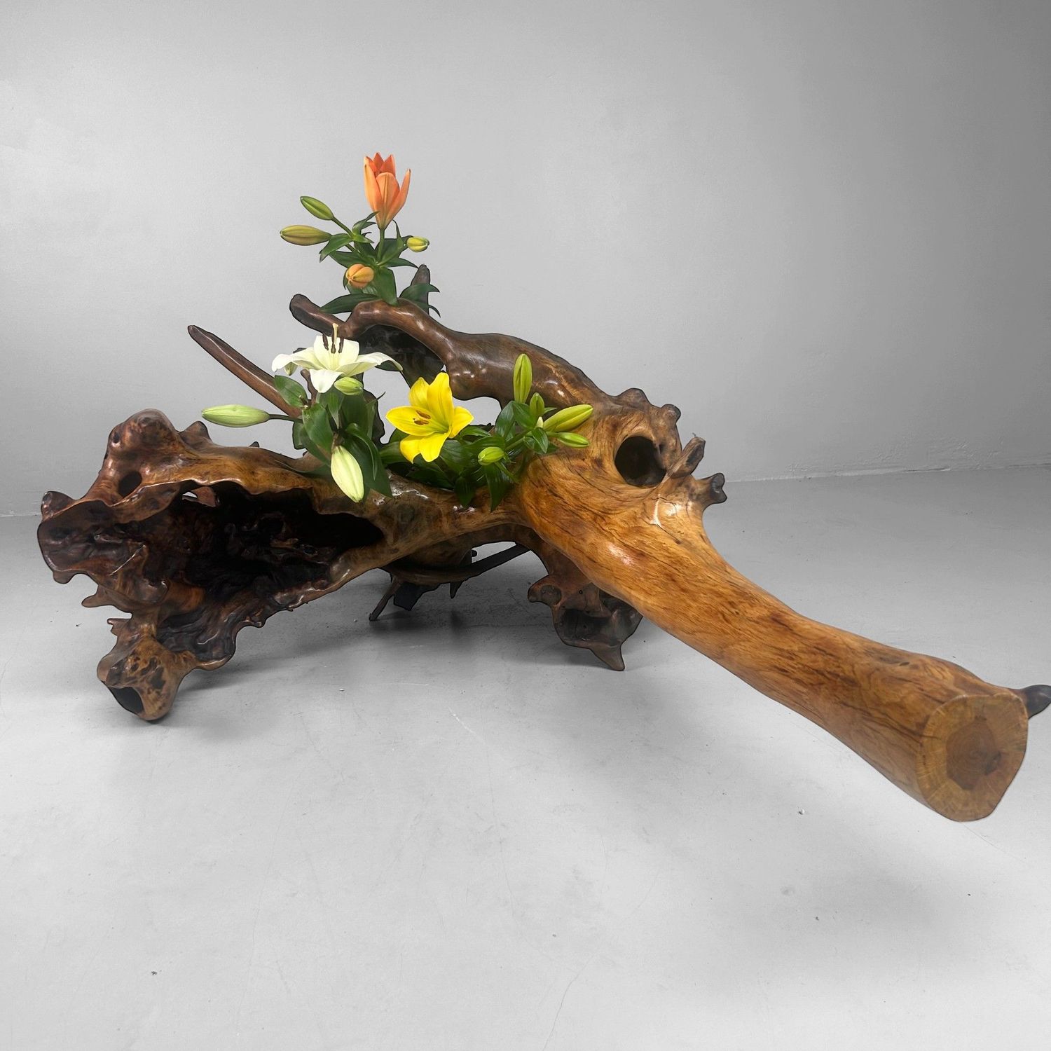 Zeldzame Japanse Wortelhoutsculptuur – Gelakt Hout, ca. jaren 1940