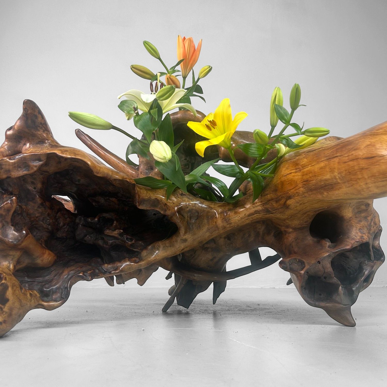 Zeldzame Japanse Wortelhoutsculptuur – Gelakt Hout, ca. jaren 1940