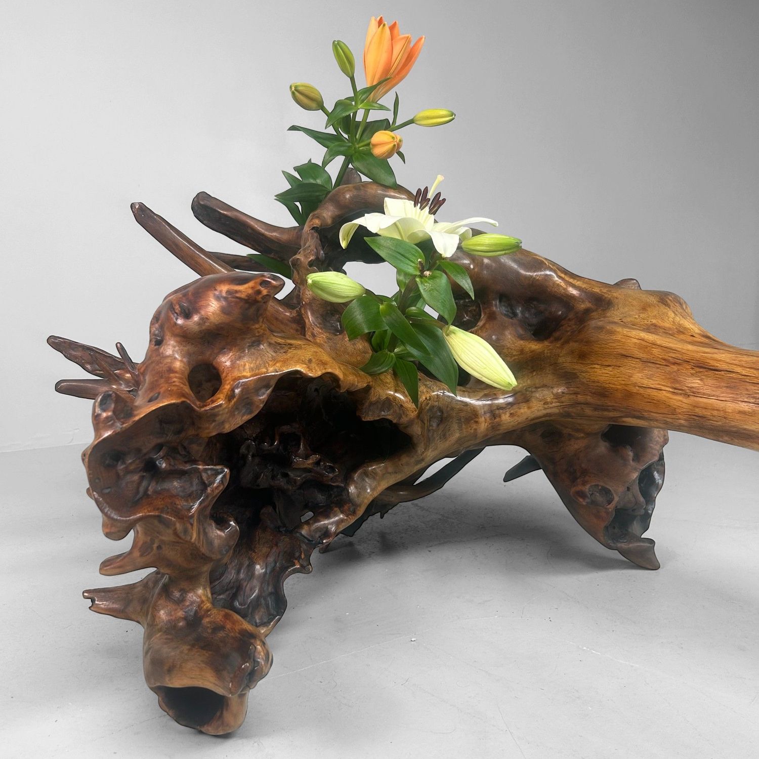 Zeldzame Japanse Wortelhoutsculptuur – Gelakt Hout, ca. jaren 1940