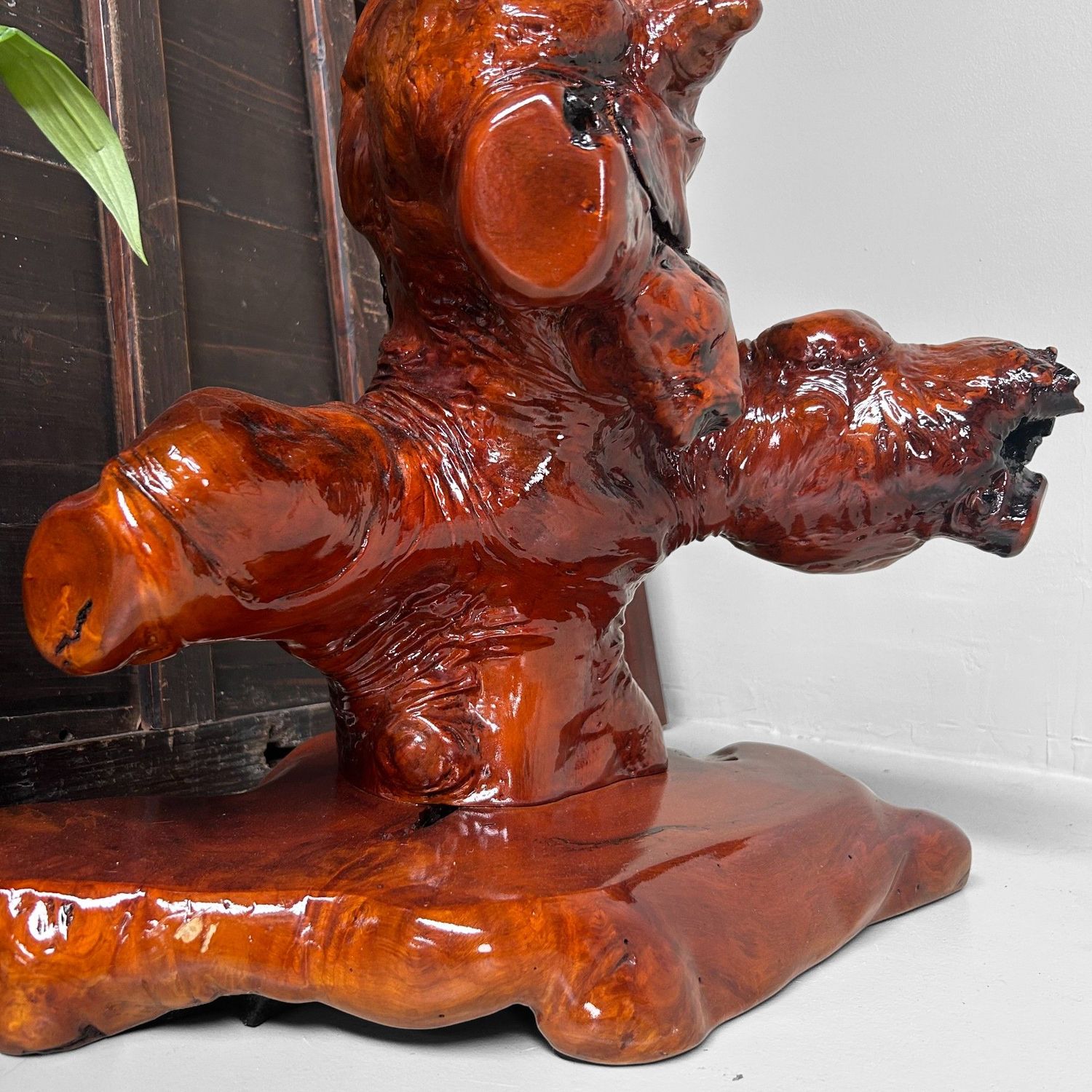 Decoratief Japans Wortelhout op Display – Keyaki, Jaren '70 Decoratief Japans Wortelhout op Display – Keyaki, Jaren '70