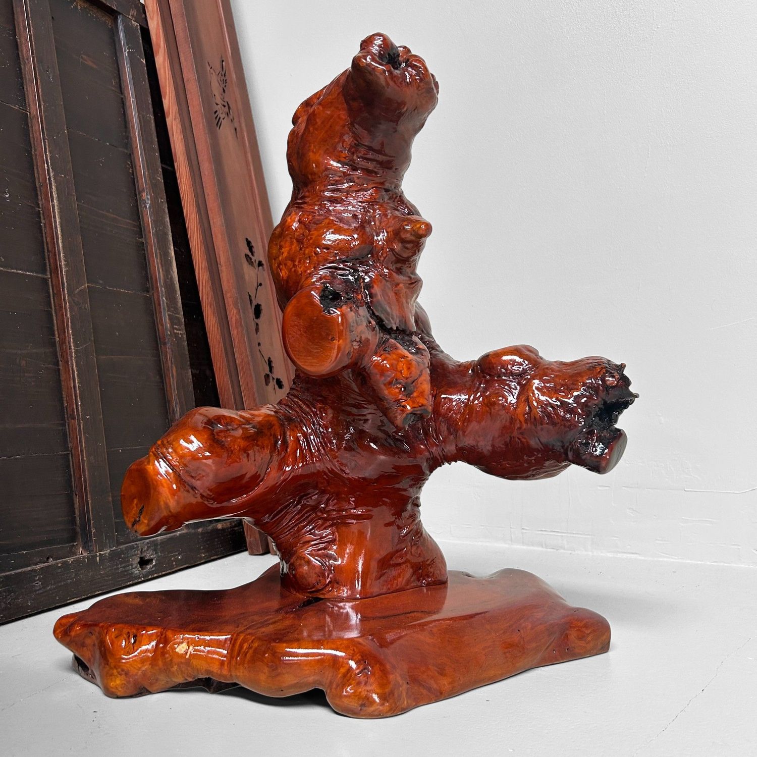 Decoratief Japans Wortelhout op Display – Keyaki, Jaren '70 Decoratief Japans Wortelhout op Display – Keyaki, Jaren '70
