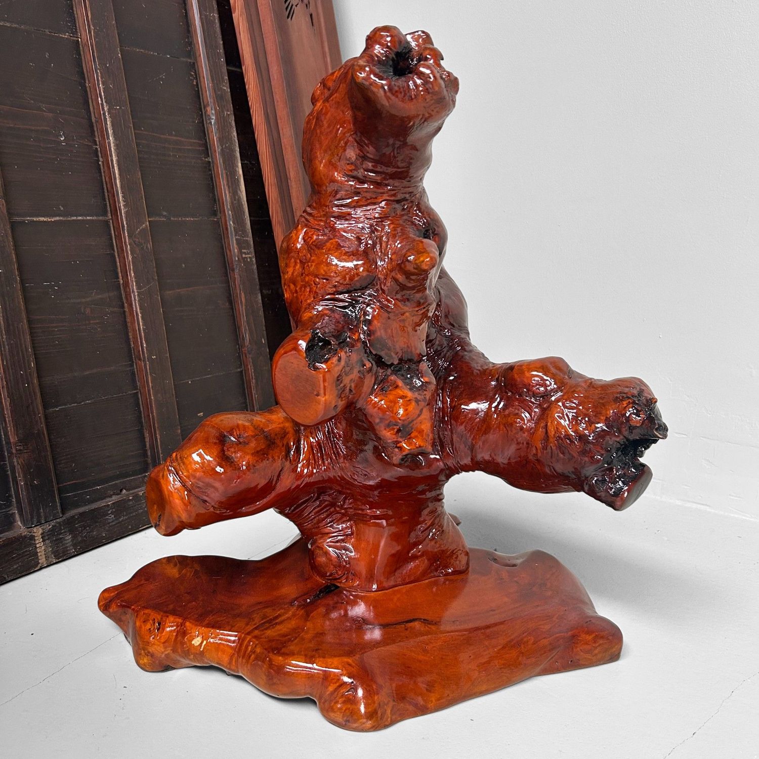 Decoratief Japans Wortelhout op Display – Keyaki, Jaren '70 Decoratief Japans Wortelhout op Display – Keyaki, Jaren '70
