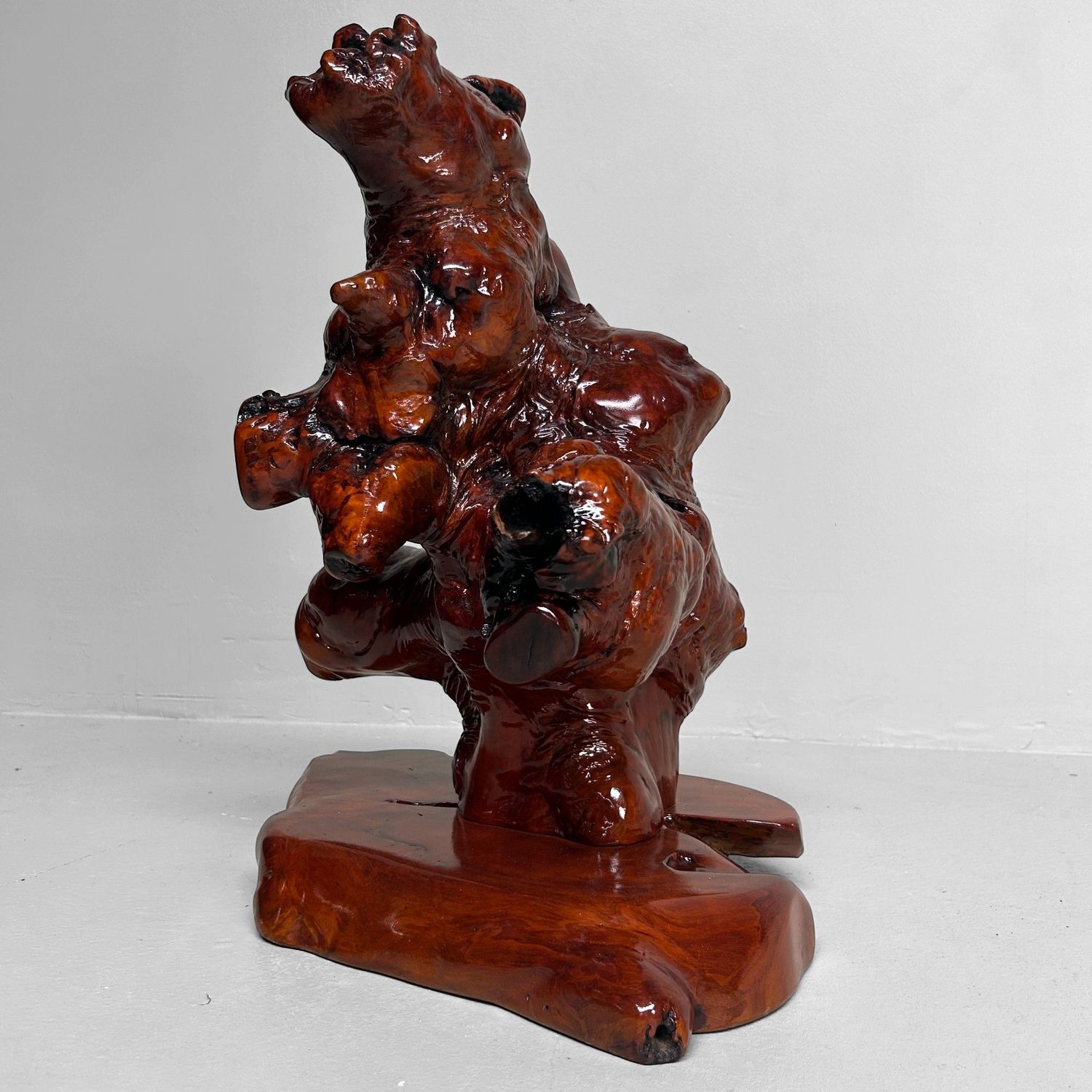 Decoratief Japans Wortelhout op Display – Keyaki, Jaren '70 Decoratief Japans Wortelhout op Display – Keyaki, Jaren '70