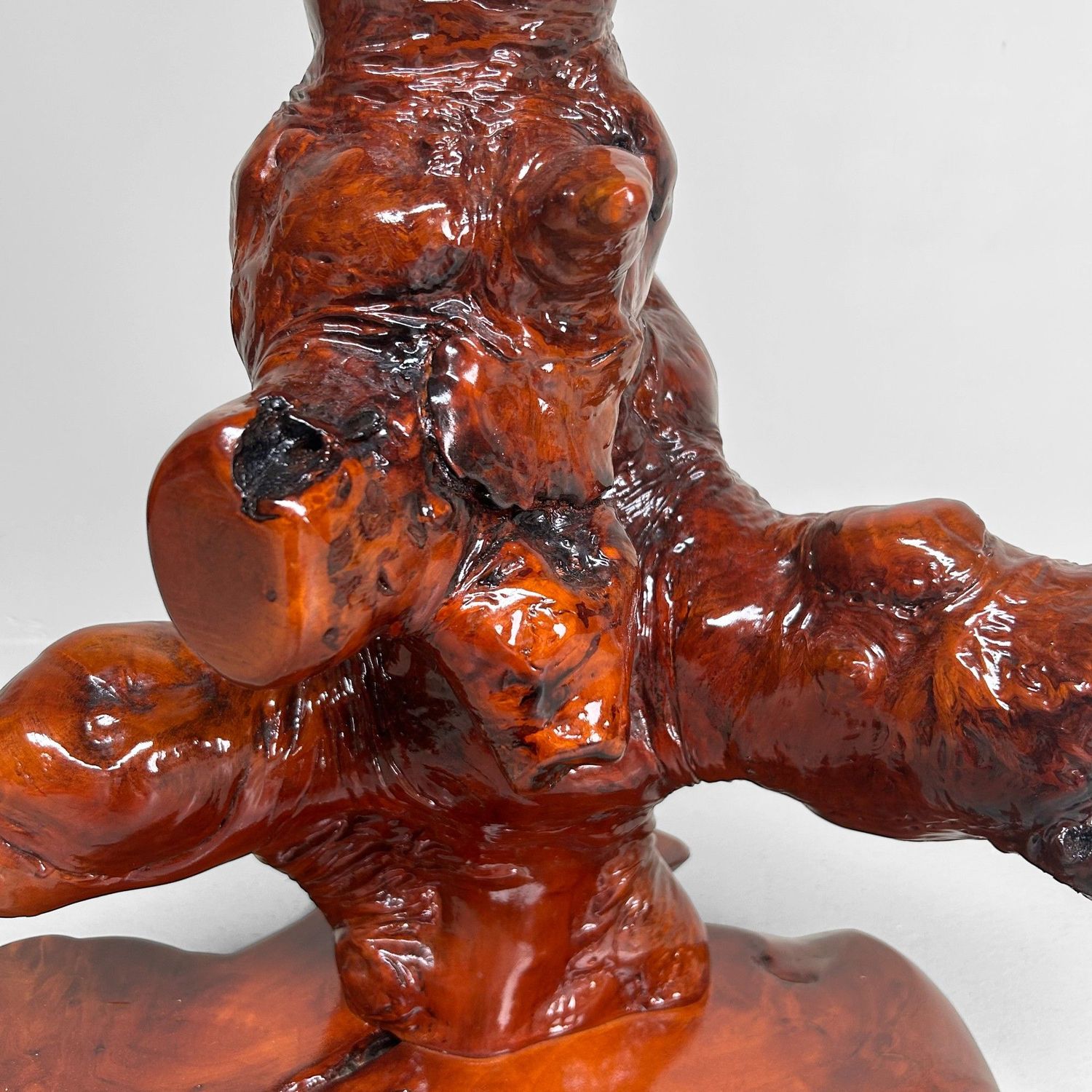 Decoratief Japans Wortelhout op Display – Keyaki, Jaren '70 Decoratief Japans Wortelhout op Display – Keyaki, Jaren '70