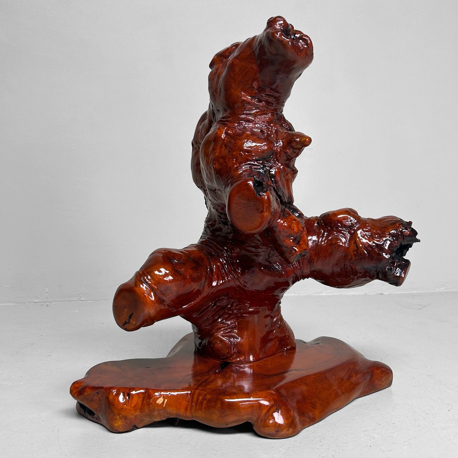 Decoratief Japans Wortelhout op Display – Keyaki, Jaren '70 Decoratief Japans Wortelhout op Display – Keyaki, Jaren '70