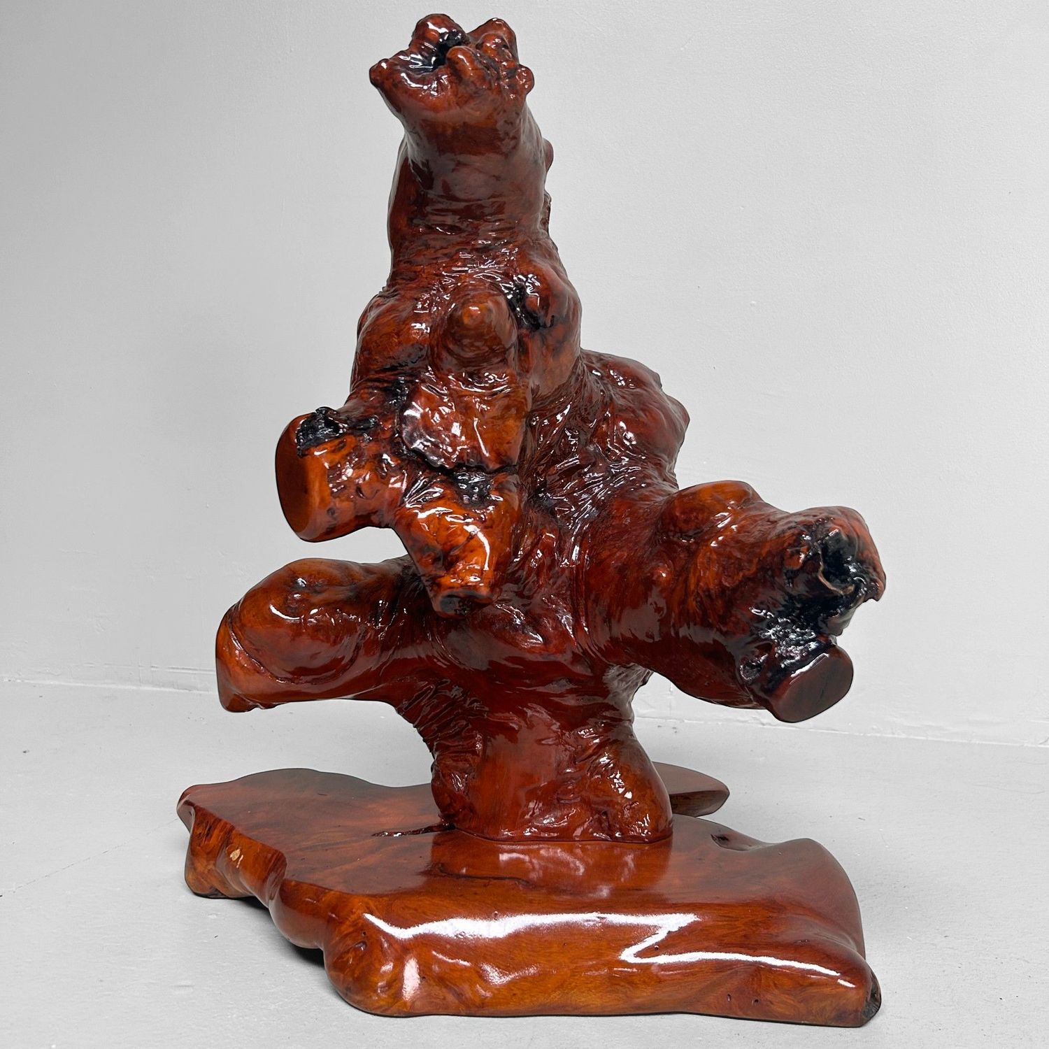 Decoratief Japans Wortelhout op Display – Keyaki, Jaren '70 Decoratief Japans Wortelhout op Display – Keyaki, Jaren '70