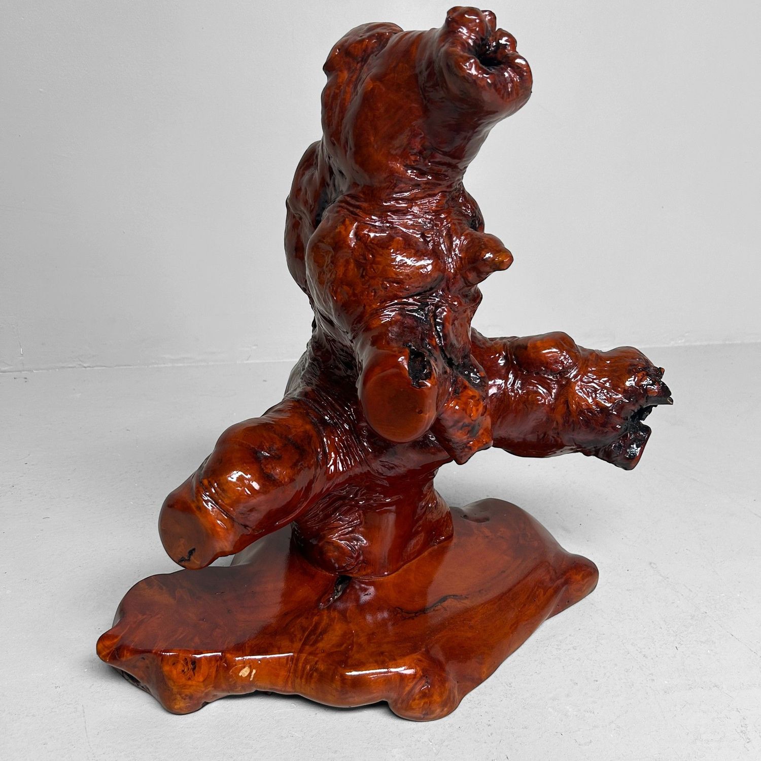 Decoratief Japans Wortelhout op Display – Keyaki, Jaren '70 Decoratief Japans Wortelhout op Display – Keyaki, Jaren '70
