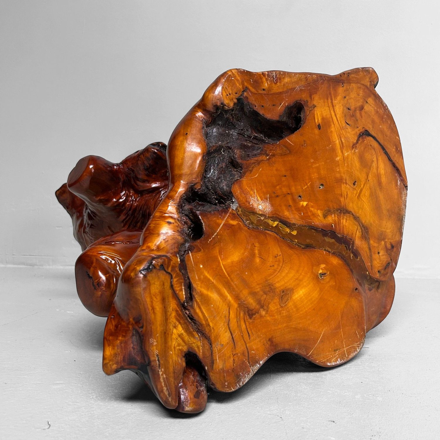 Decoratief Japans Wortelhout op Display – Keyaki, Jaren '70 Decoratief Japans Wortelhout op Display – Keyaki, Jaren '70