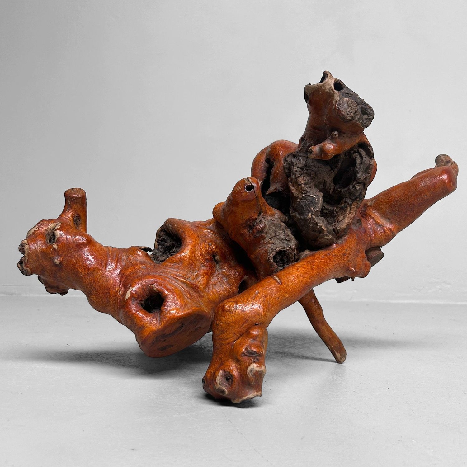 Decoratief Japans Wortelhout –Yamazakura , Jaren '70