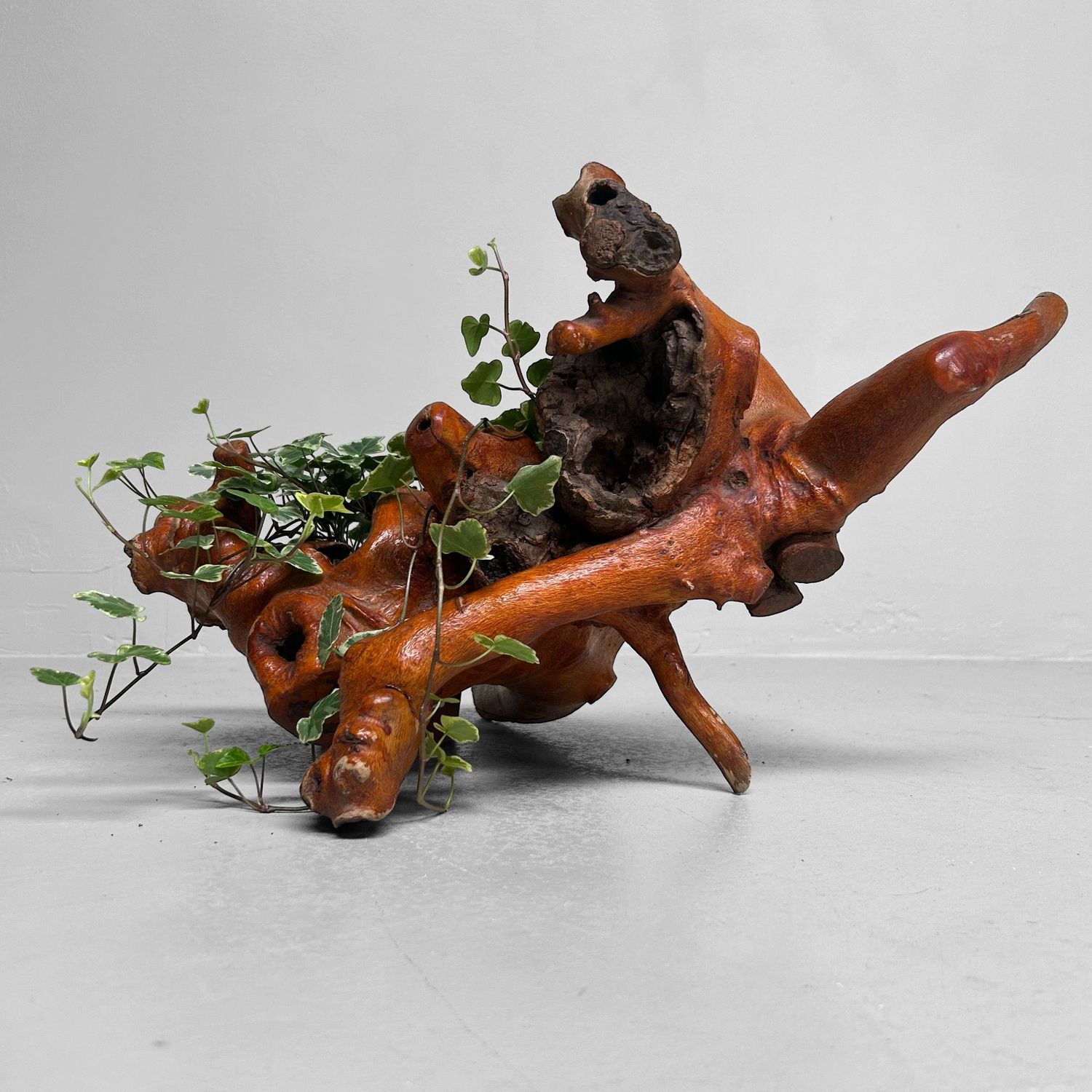 Decoratief Japans Wortelhout –Yamazakura , Jaren '70