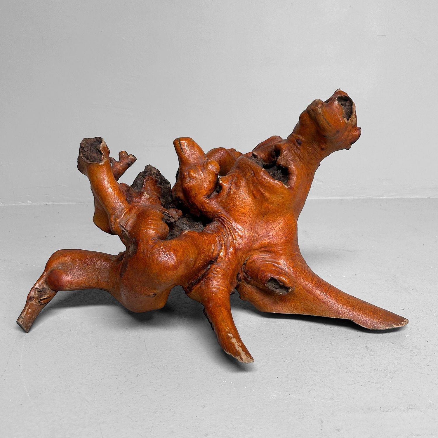 Decoratief Japans Wortelhout –Yamazakura , Jaren '70