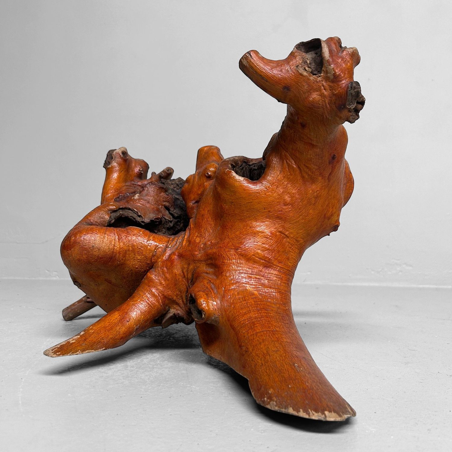 Decoratief Japans Wortelhout –Yamazakura , Jaren '70