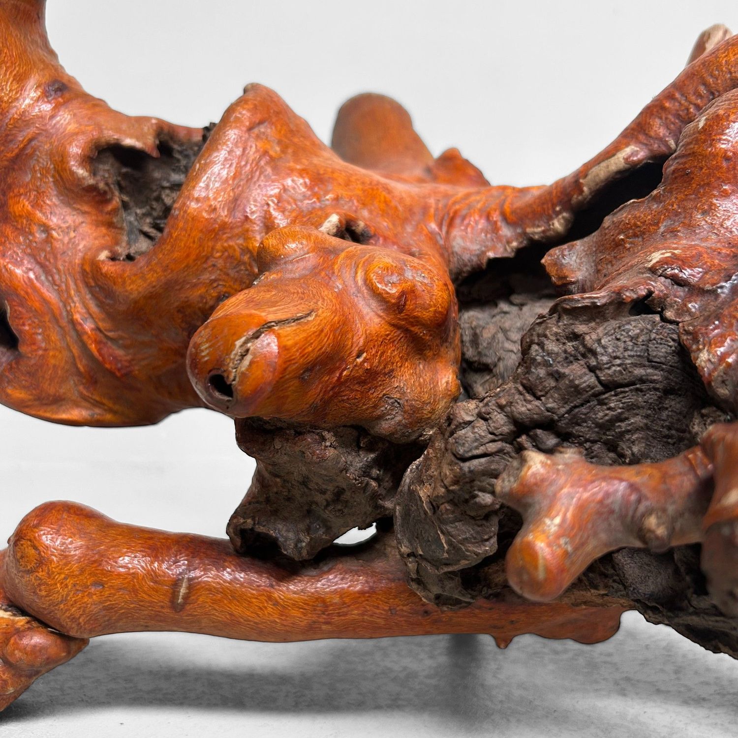 Decoratief Japans Wortelhout –Yamazakura , Jaren '70