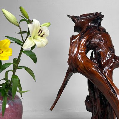 Decoratief Japans Wortelhout op Display – Keyaki, Jaren '70