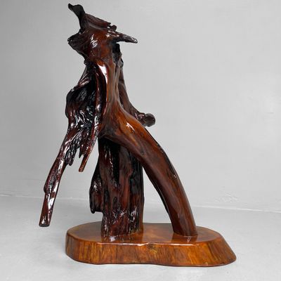 Decoratief Japans Wortelhout op Display – Keyaki, Jaren '70 Decoratief Japans Wortelhout op Display – Keyaki, Jaren '70