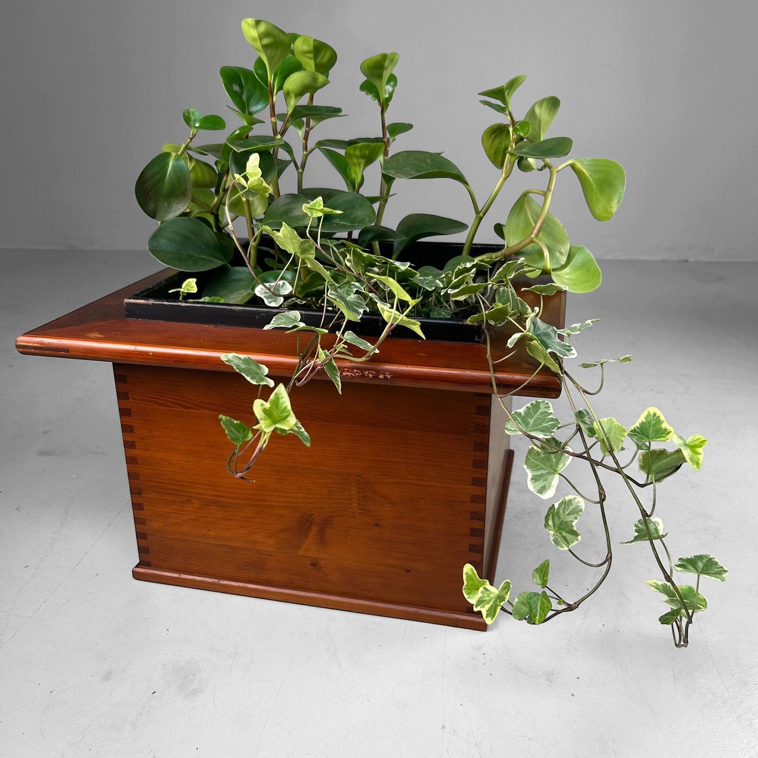 Vintage Japanese Hibachi, Unique Plant Stand, Japan, 1970s