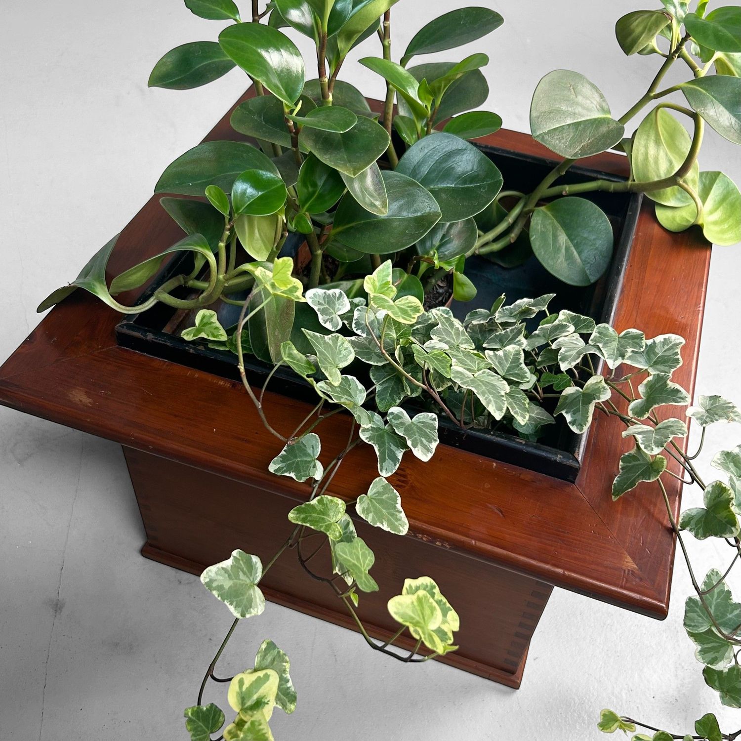 Vintage Japanese Hibachi, Unique Plant Stand, Japan, 1970s