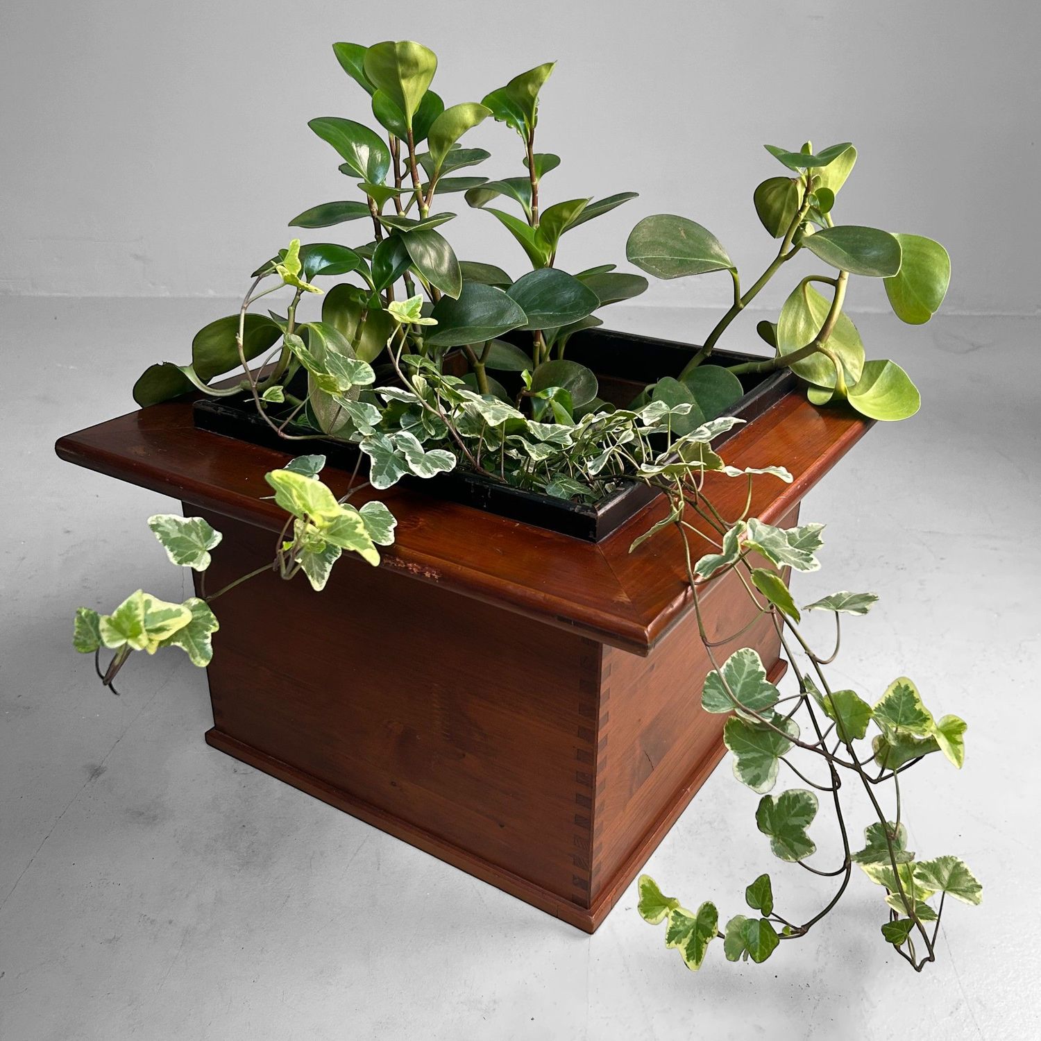 Vintage Japanese Hibachi, Unique Plant Stand, Japan, 1970s