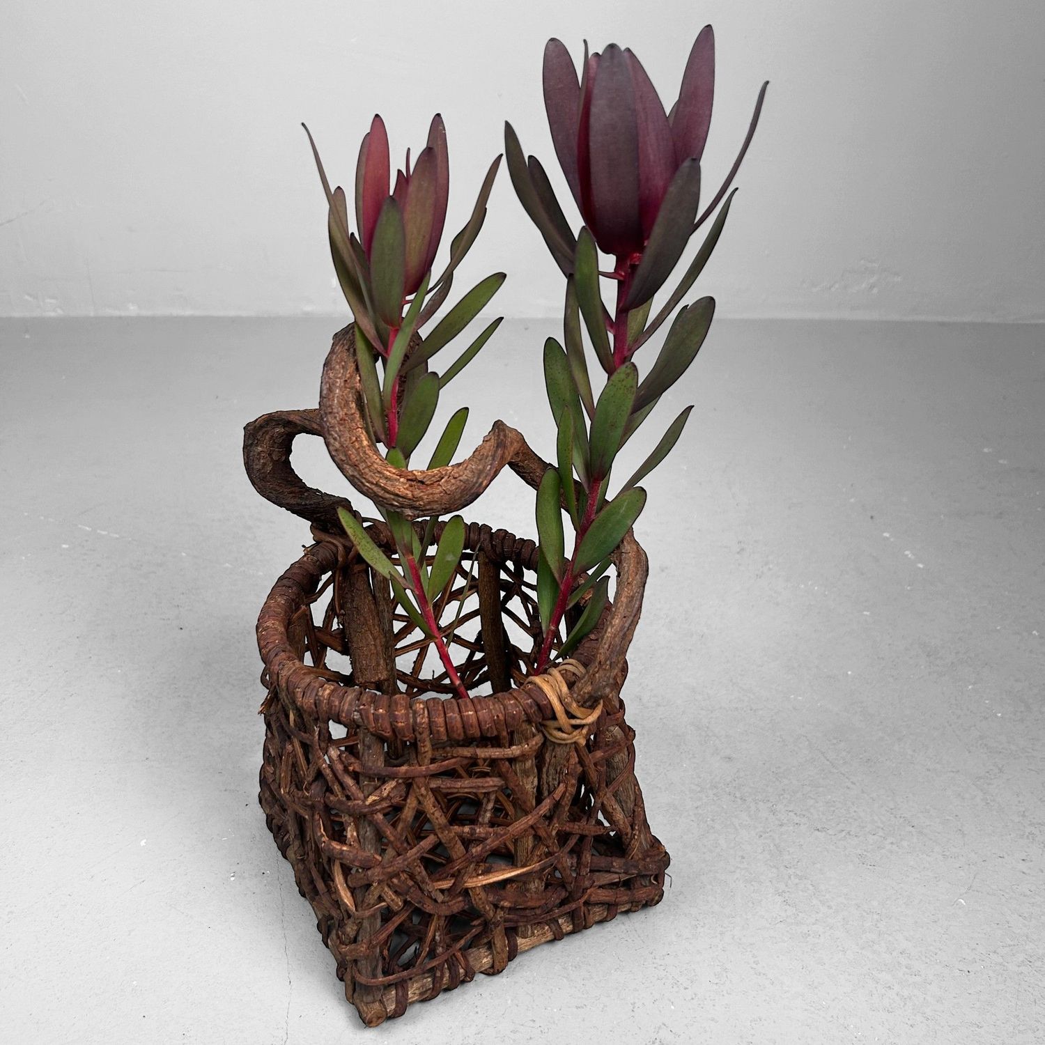 Japanse Hanakago Ikebana Mand, jaren 60