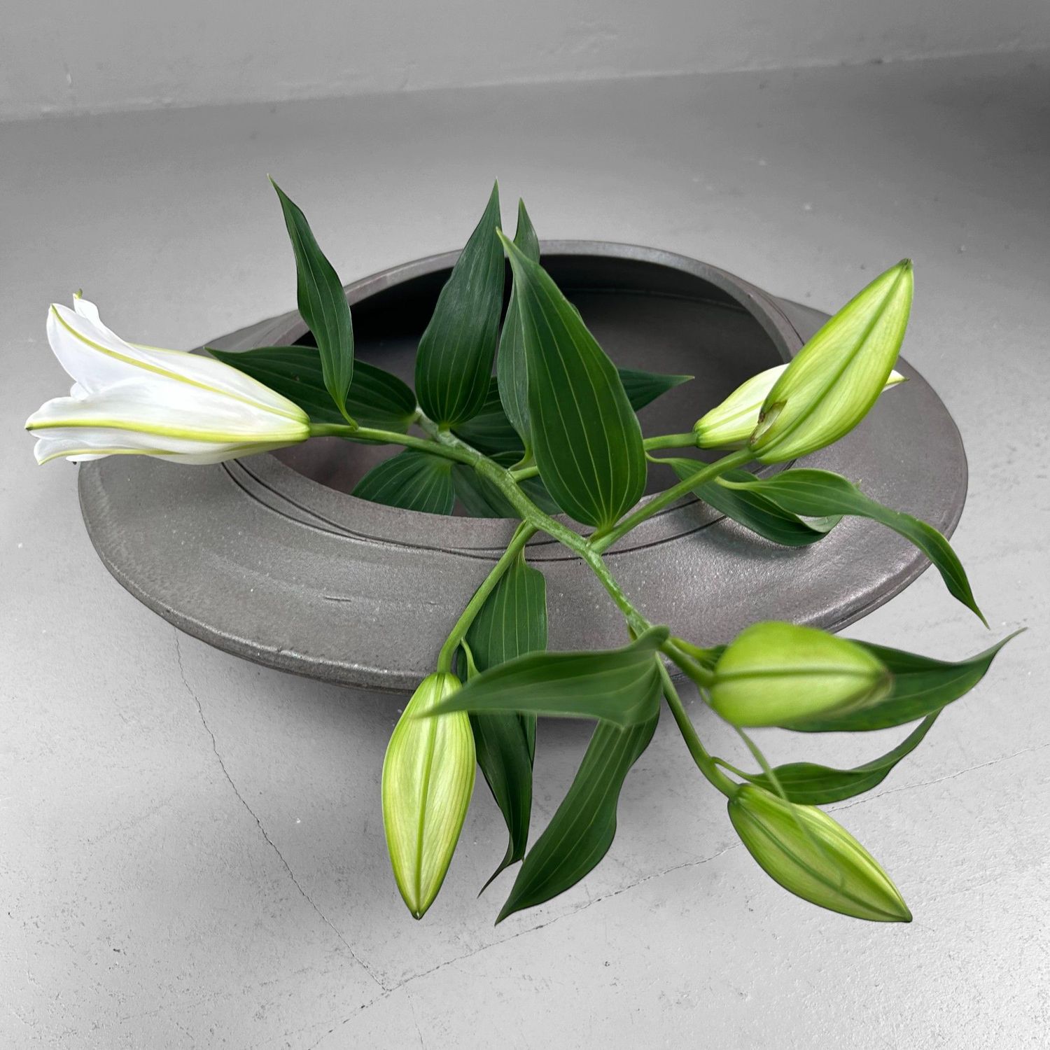Grote Keramieken Ikebana Schaal – Japanse Studio Pottery, jaren 70. Grote Keramieken Ikebana Schaal – Japanse Studio Pottery, jaren 70.
