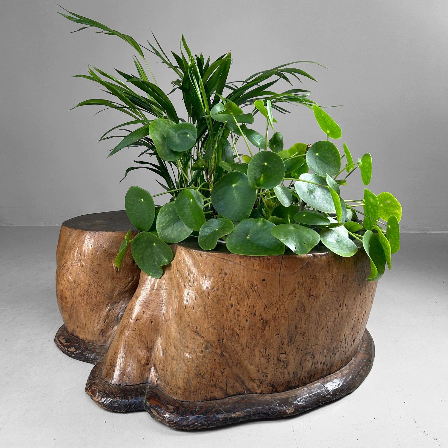 Organic Japanese Wooden Hibachi – Meiji Period, ca. 1910 Organic Japanese Wooden Hibachi – Meiji Period, ca. 1910