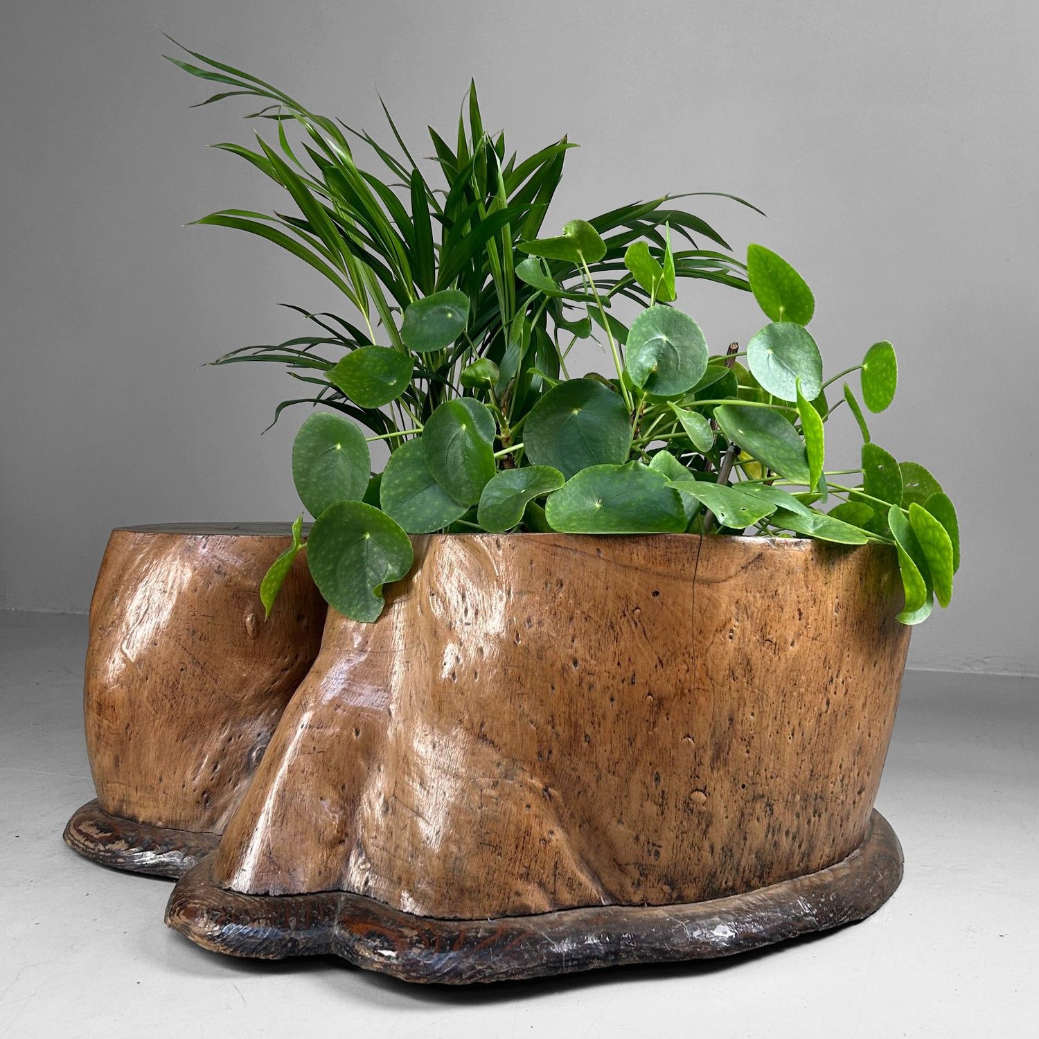 Organic Japanese Wooden Hibachi – Meiji Period, ca. 1910 Organic Japanese Wooden Hibachi – Meiji Period, ca. 1910