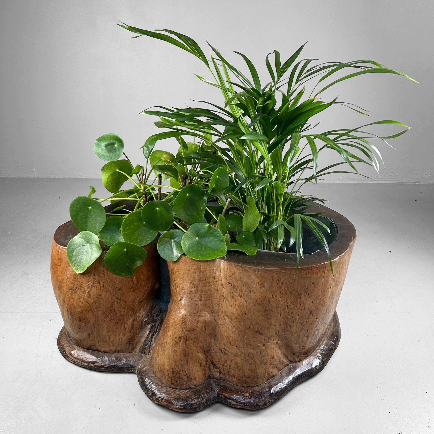 Organic Japanese Wooden Hibachi – Meiji Period, ca. 1910 Organic Japanese Wooden Hibachi – Meiji Period, ca. 1910