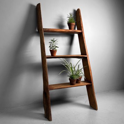 Antieke Japanse Houten Display Ladder, Hashigo, 1930s