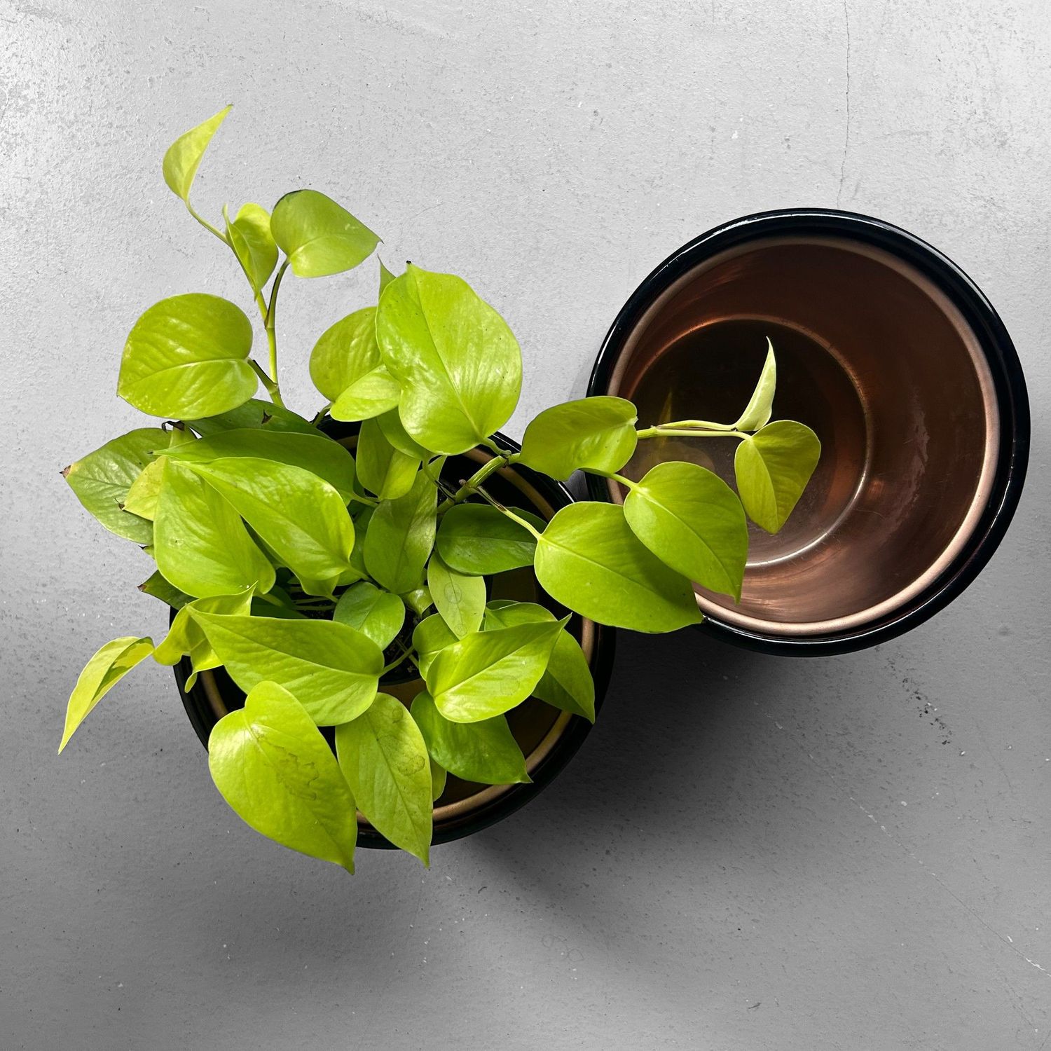 ​Set Japanse Hibachi, Negoro-nuri, 1950s