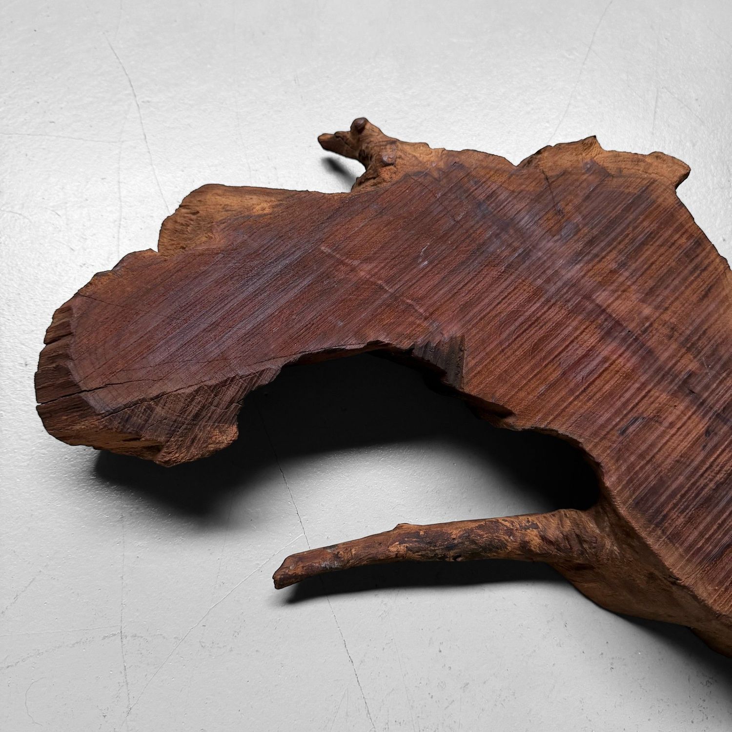 Japanese Rootwood Display Slab (Ne-ita), 1950s