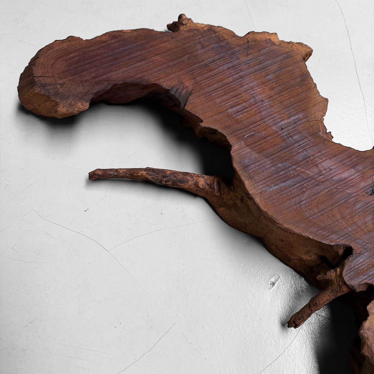 Japanese Rootwood Display Slab (Ne-ita), 1950s