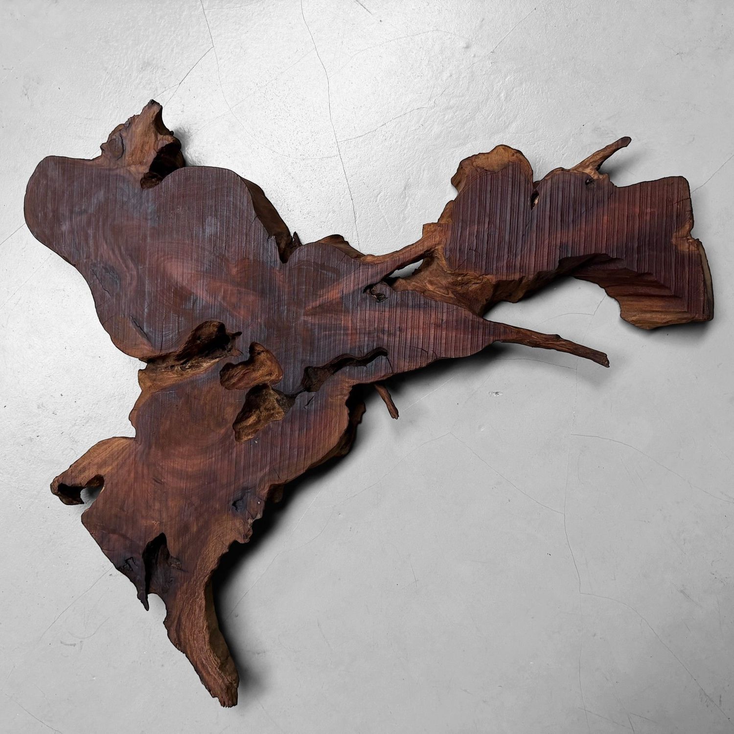 Japanese Rootwood Display Slab (Ne-ita), 1950s