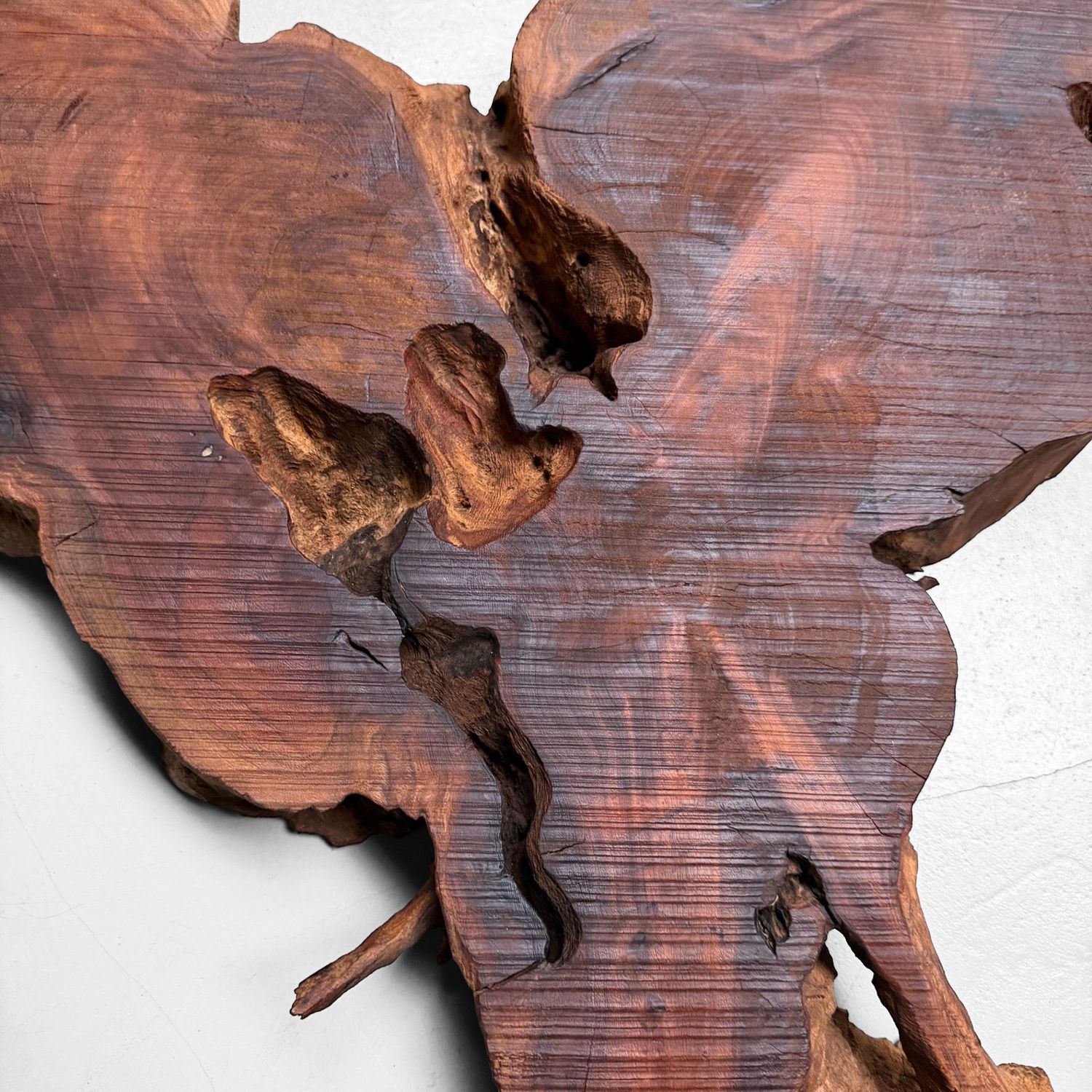 Japanese Rootwood Display Slab (Ne-ita), 1950s