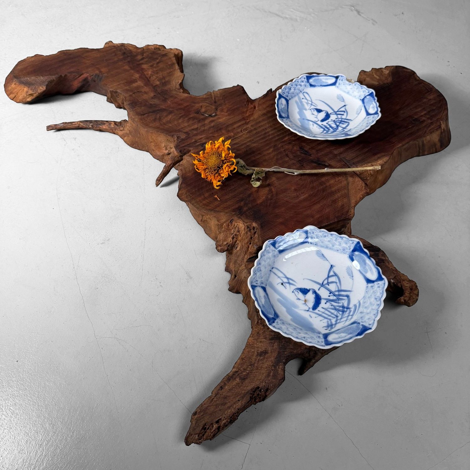 Japanese Rootwood Display Slab (Ne-ita), 1950s