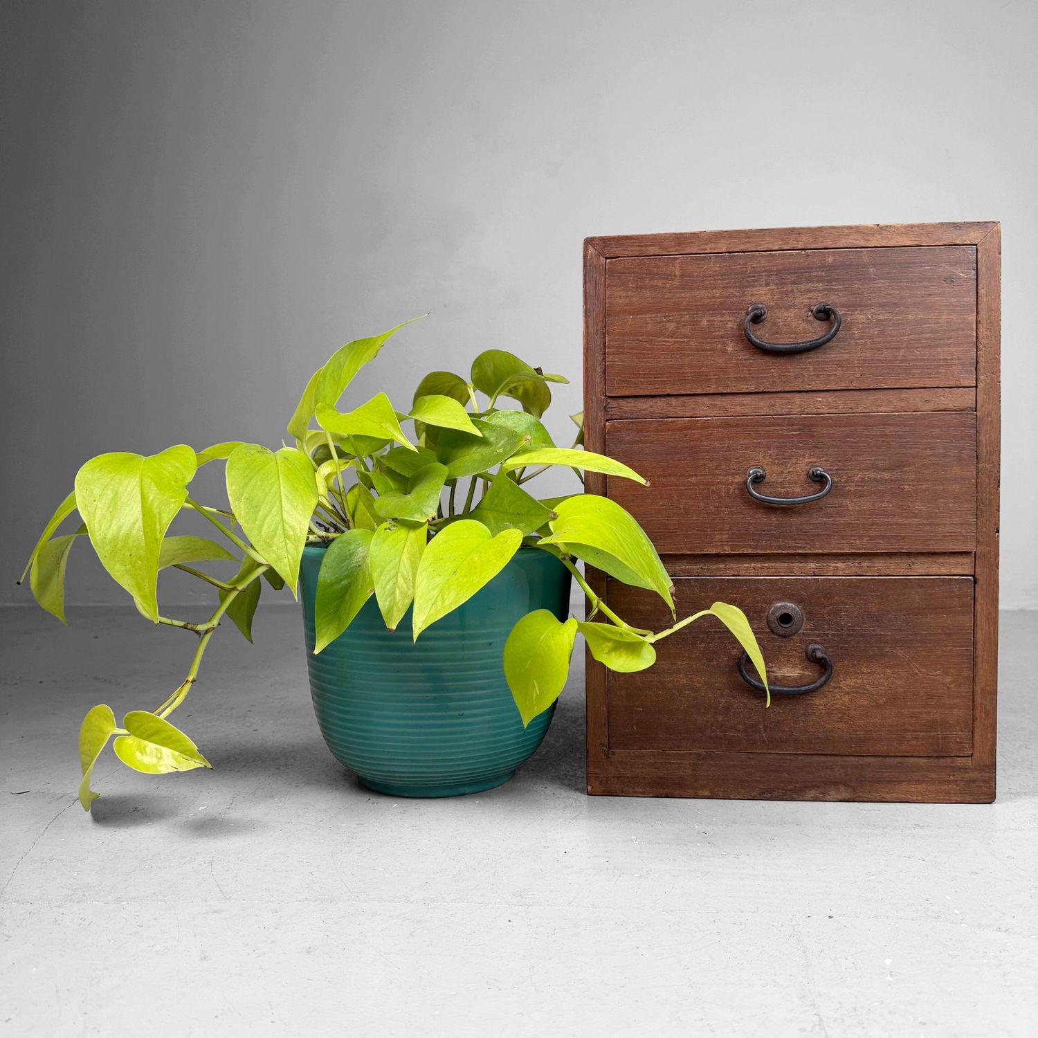 Compact Vintage Japanese Tansu Chest, 1930s